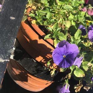 Meet your Posher, Taylor